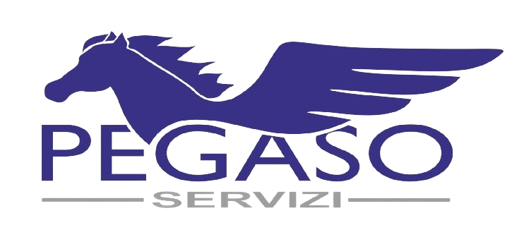 Pegaso
